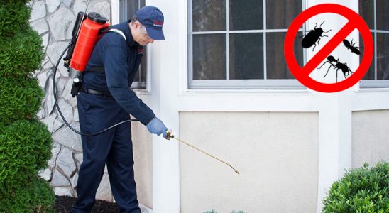 Of Karınca İlaçlama böcek ilaçlama ve haşere kontrolü — ilaclama-tr.com